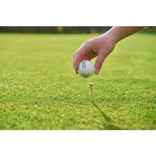 Houten golftees-set Nyssa