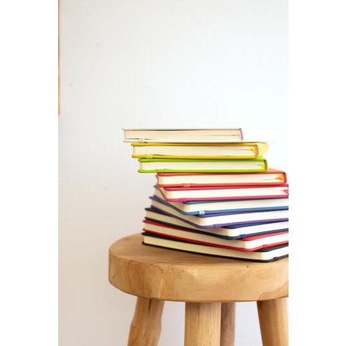 Notitieboek Eva | Gerecycled PU | A5 | Gelinieerd