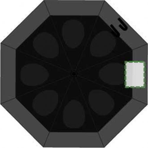 Segment 3