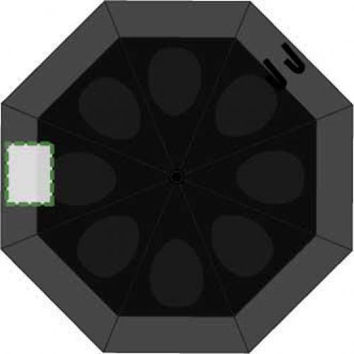Segment 4