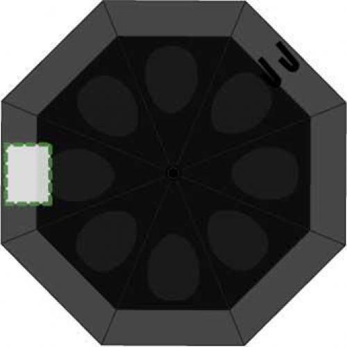 Segment 4