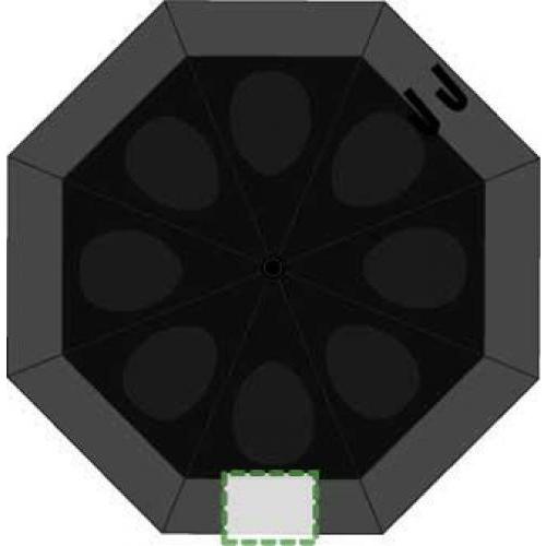 Segment 3