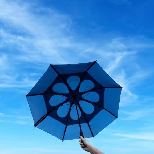 Regenschirm Debbie