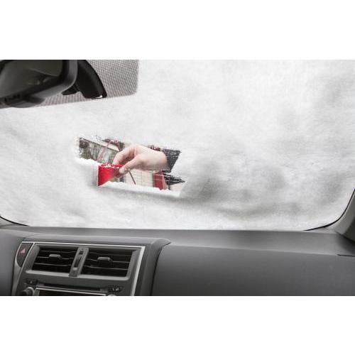 PS ijskrabber Amaryllis