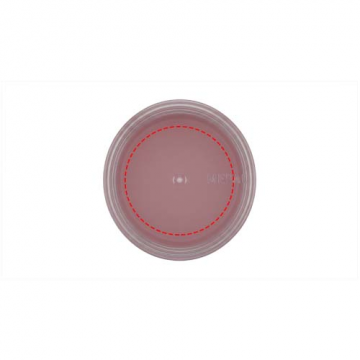 Lid