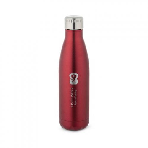 Rvs fles 500 ml Show satin