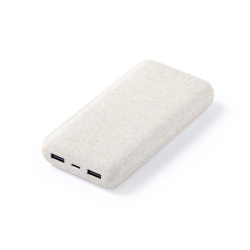 Power bank Golblum