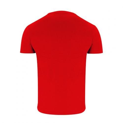 Kleuren T-Shirt volwassene Perkins